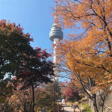 All You Need to Know Before You Visit the N Seoul Tower (Namsan Tower ...