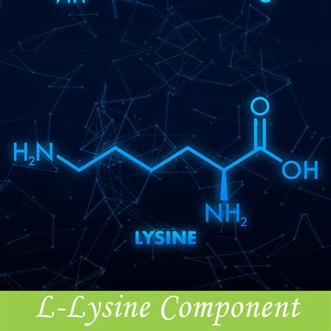 The 7 L-Lysine Health Benefits (#4 is a MUST for Cold Sores)