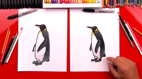 How To Draw A Realistic Emperor Penguin - Art For Kids Hub