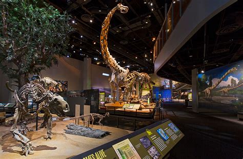 Perot Museum of Nature and Science Coupons near me in Dallas, TX 75201 ...