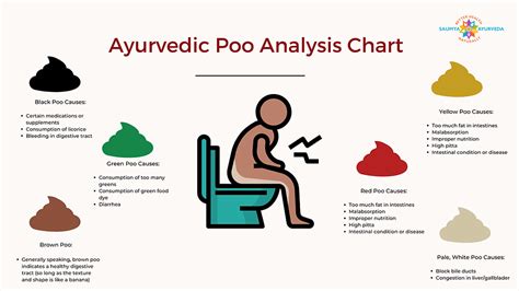 Ayurveda Stool Analysis: What Your Poop Says About Your Health