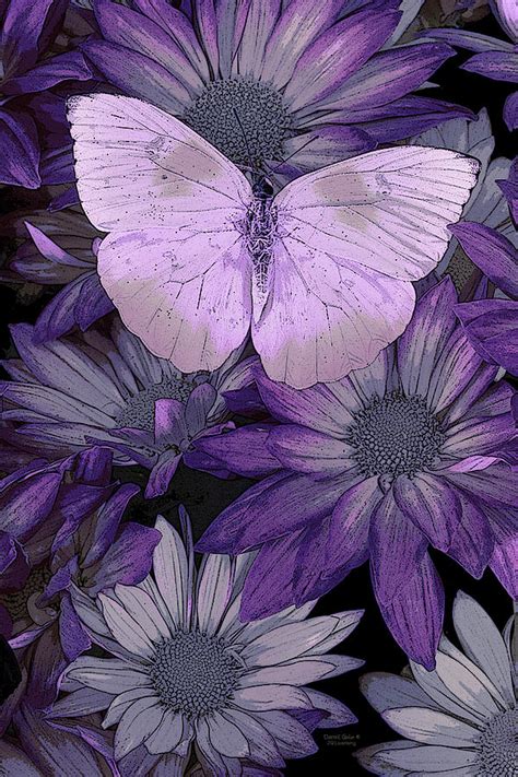 Purple Butterfly Painting by JQ Licensing - Pixels