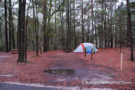 Suwannee River State Park - Campsite Photos, Info & Reservations