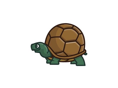 Turtle GIF - Find & Share on GIPHY