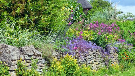 Plants for retaining walls: 12 ways to brighten your boundary ...