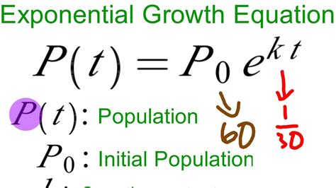 Exponential Decay Function Equation