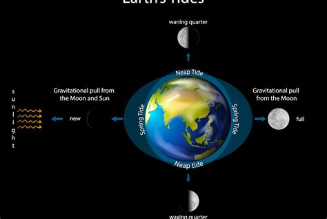 ATLANTIC SKIES: The moon's influence on earth's tides: explained | SaltWire