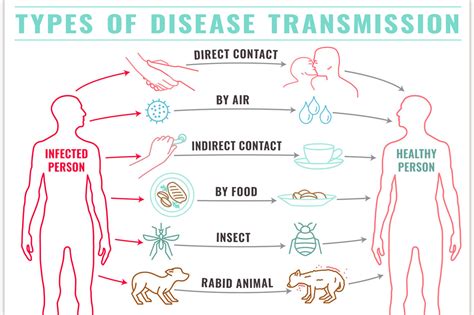 Disease transmission types | Animal Illustrations ~ Creative Market