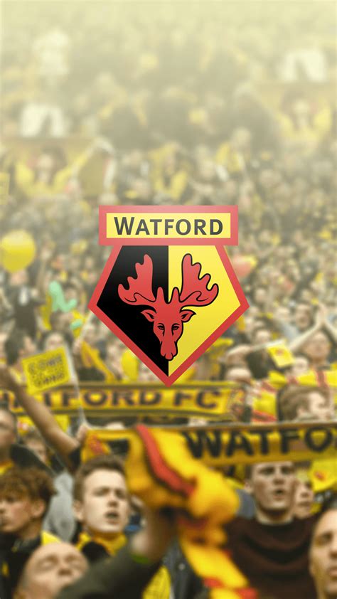 Watford F.C. Wallpapers - Wallpaper Cave