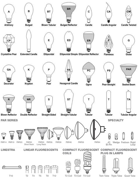 Light Bulb Sizes Chart