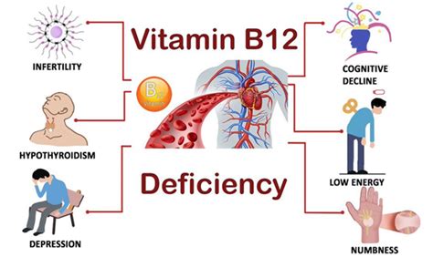 Herbal Remedies for Vitamin B12 Deficiency, Ayurvedic Treatment ...