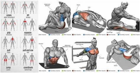 The Importance of Stretching To Boost Muscle Recovery and Flexibility ...