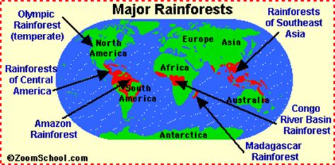 What Factors Control the Location of Rainforests? - Owlcation