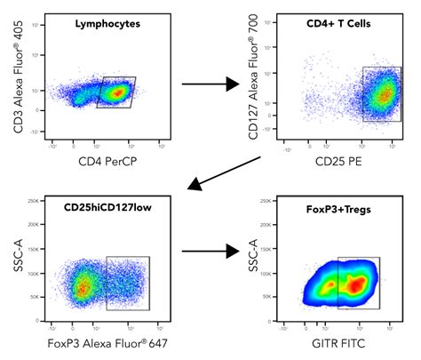 Regulatory T Cell (Treg) Flow Cytometry Panel: R&D Systems