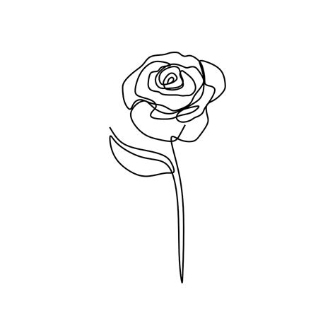 Rose Flower Continuous Line Art Drawing Vector Illustration, Flower ...