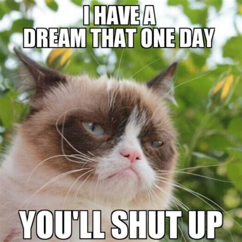 Funny Quotes Grumpy Cat. QuotesGram