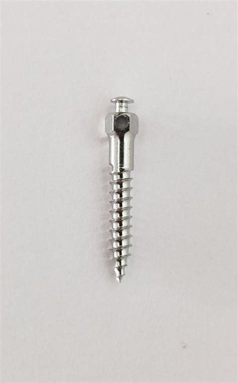 S.K. Surgical SS Buccal Shelf Implant, Size: 2.0x 10 mm,2.0 X 12 mm at ...