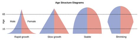 Population Pyramids - geographyalltheway.com