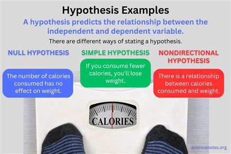 Hypothesis Examples