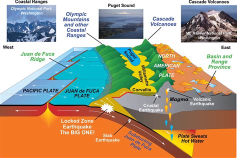 Convergent Plate Boundaries—Subduction Zones - Geology (U.S. National ...