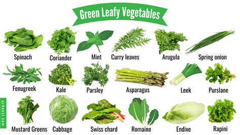 45 Green Leafy Vegetable Names with Pictures and their Benefits