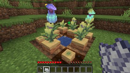 Pitcher Plants in Minecraft - Apex Hosting