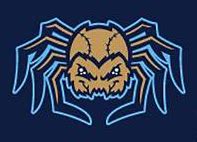 Fond du Lac Dock Spiders Logo - Alternate Logo - Northwoods League ...