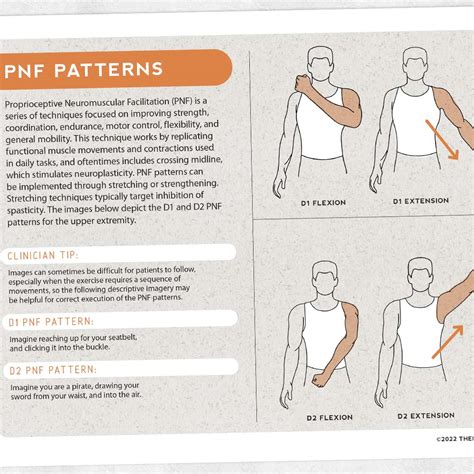 PNF Patterns – Adult and pediatric printable resources for speech and ...