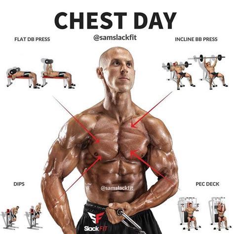 Pin by J NARCOMEY on interesting | Shoulder workout, Best chest workout ...