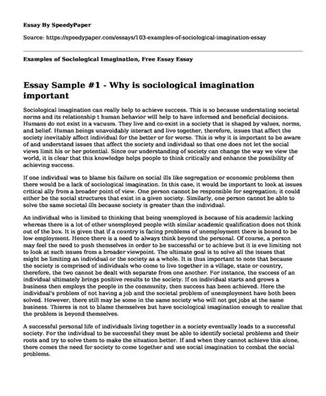 📗 Examples of Sociological Imagination, Free Essay | SpeedyPaper.com