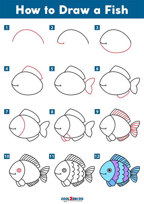 How To Draw Fish Step By Step