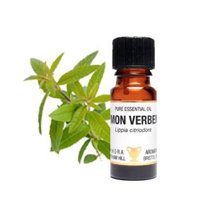 Lemon Verbena Essential Oil