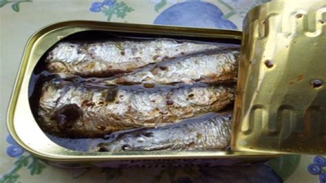 Canned Sardines: Health Benefits, Nutrition, and Risks - Foodveling