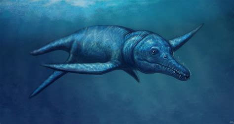 Pliosaurus irgisensis by MALvit on DeviantArt