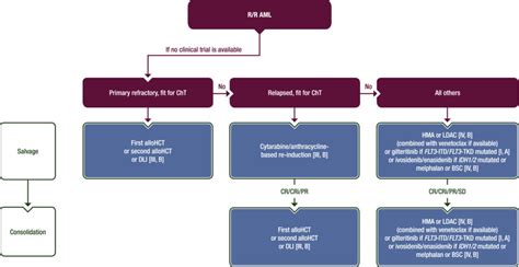 Acute myeloid leukaemia in adult patients: ESMO Clinical Practice ...