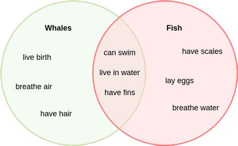 Venn Diagram Examples 2 Circles