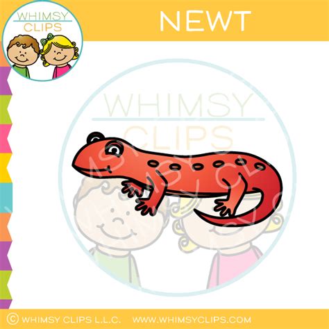 Newt Clip Art , Images & Illustrations | Whimsy Clips