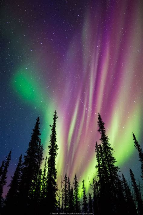 Alaska aurora borealis photo tours | Northern lights wallpaper ...