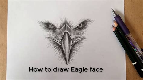 how to draw a eagle face - Jeane Mcgowan