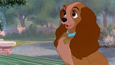 Lady | The lady and the tramp Wiki | Fandom