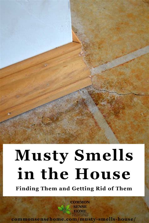 How To Get Rid Of Musty Smell In Old House | Psoriasisguru.com