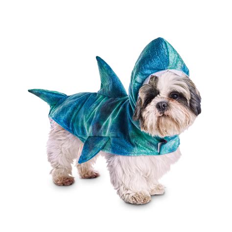 Shark Dog Costume | ubicaciondepersonas.cdmx.gob.mx