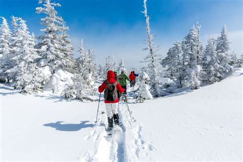 How to Snowshoe: A Beginners' Guide to the Basics