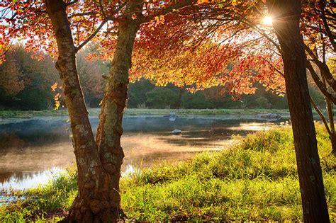 Rhode Island fall foliage over misty pond Photograph by Jeff Folger