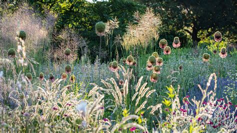 Dry gardens explained - 10 expert tips for a lush landscape | Livingetc