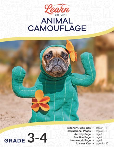 Animal Camouflage, Free PDF Download - Learn Bright