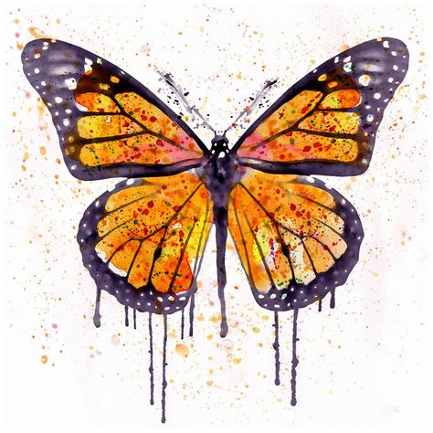 Monarch Butterfly Watercolor Digital Art by Marian Voicu