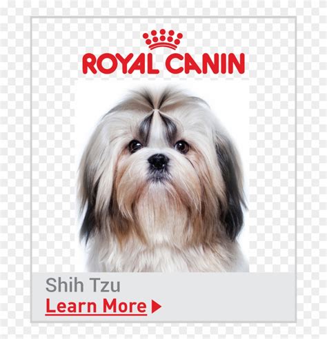 Royal Canin Breed Specific Shih Tzu Food - Royal Canin Dog Food Mini ...