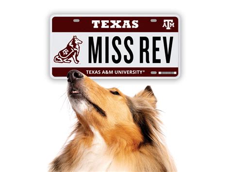 Texas A&M Unveils First-Ever Specialty License Plate Featuring Mascot ...