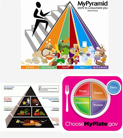 What Is The Importance Of Food Pyramid For Kids And Teens?